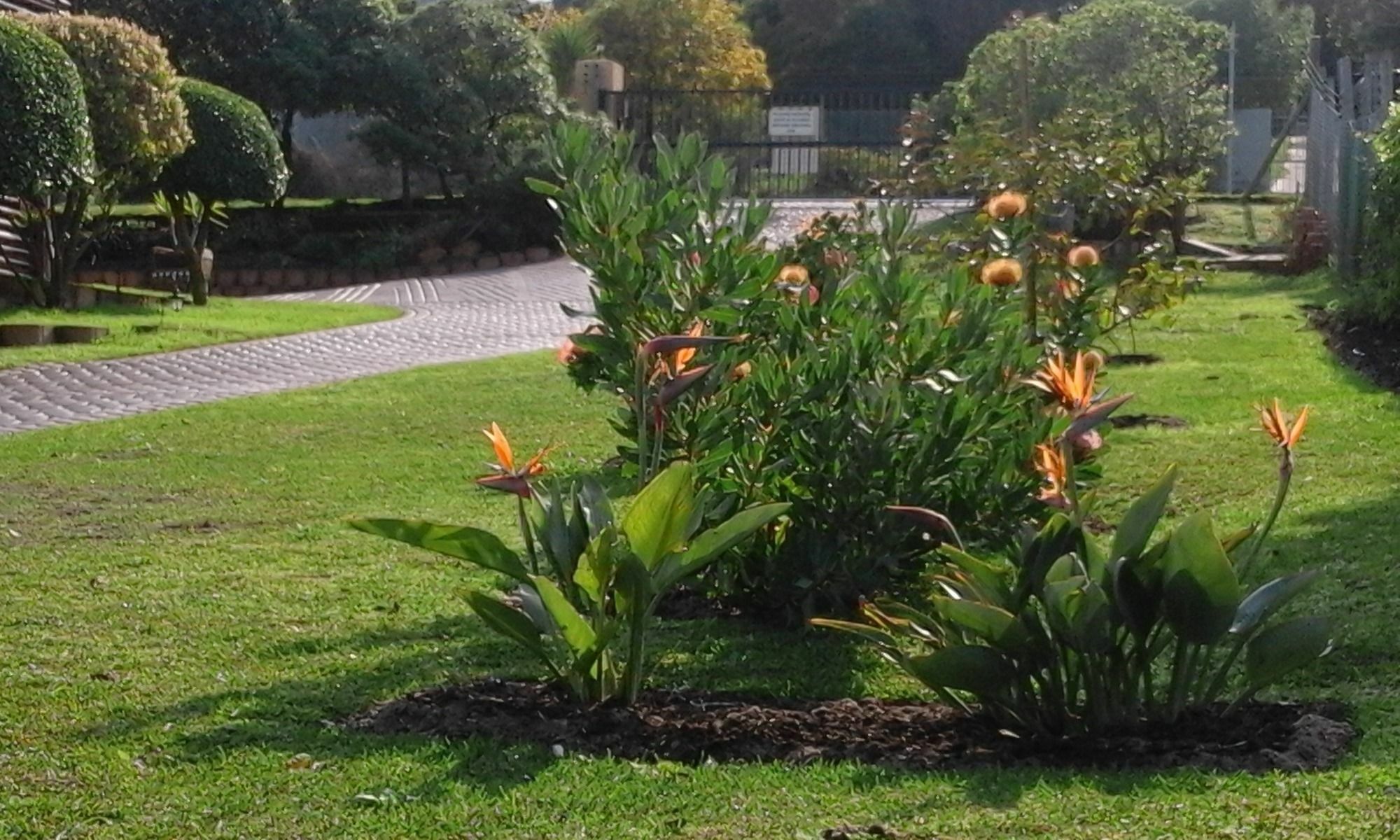 Horizon Cottages Noordhoek Extérieur photo